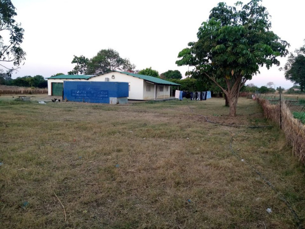 fertile-land-with-3-bedroom-house-in-lusaka-west-big-2