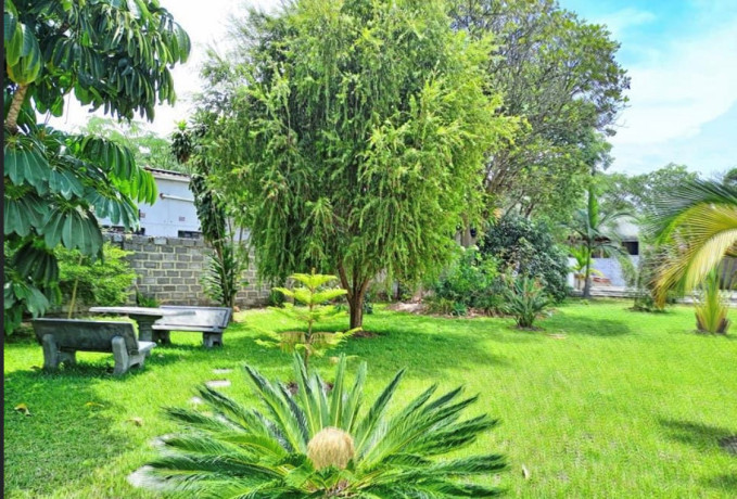 4-bedroom-house-for-sale-in-ibex-hill-big-1