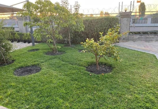 3-bedroom-house-for-rent-in-meanwood-kwamwena-big-4