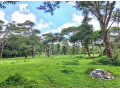 land-for-sale-in-eureka-park-small-1