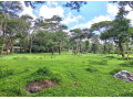 land-for-sale-in-eureka-park-small-0