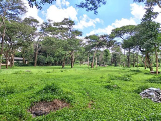 land-for-sale-in-eureka-park