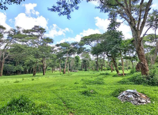 land-for-sale-in-eureka-park-big-1