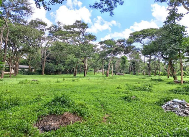 land-for-sale-in-eureka-park-big-0