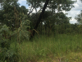 8-acres-land-for-sale-in-mikango