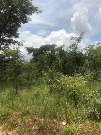 8-acres-land-for-sale-in-mikango-big-1