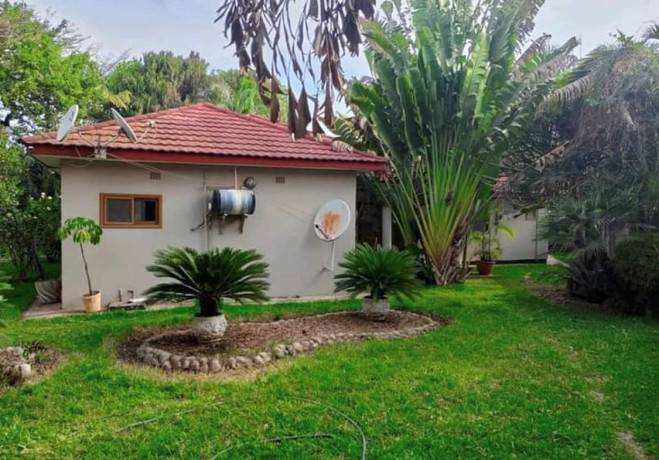 3-bedroom-house-for-rent-in-olympia-big-7