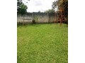4-bedroom-house-for-rent-in-chudleigh-small-4