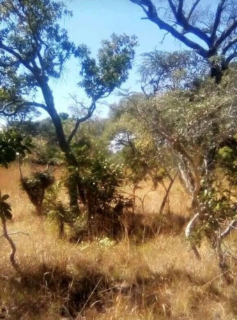 1290-hectare-land-for-sale-in-mumbwa-big-0