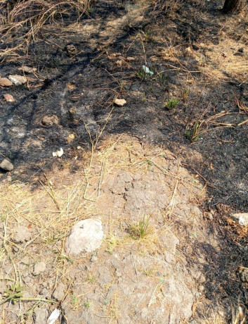 plot-for-sale-in-meanwood-vorna-valley-big-1