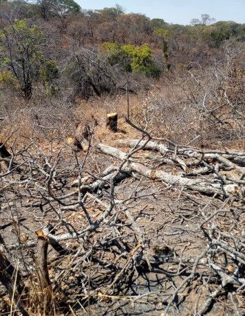 5-hectare-land-for-sale-in-mikango-barracks-big-1