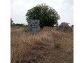 10-hectares-land-for-sale-in-chisamba-small-1