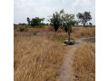 10-hectares-land-for-sale-in-chisamba-small-0