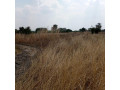 10-hectares-land-for-sale-in-chisamba-small-6