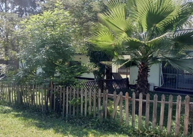 2-bedroom-house-for-rent-in-kabulonga-big-6