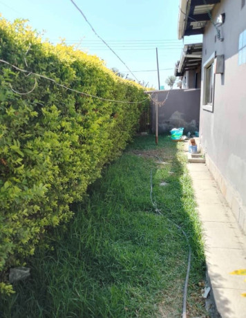 3-bedroom-flat-for-rent-in-meanwood-chamba-valley-big-3