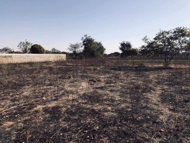 plots-for-sale-in-silverest-big-1