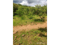 40m-by-20m-plot-for-sale-in-chilanga-small-0