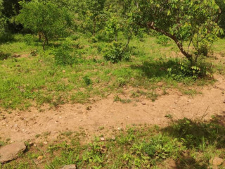 40m-by-20m-plot-for-sale-in-chilanga