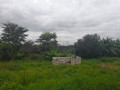 farmland-for-sale-in-palabana-chongwe-district-small-2
