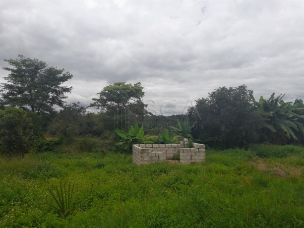 farmland-for-sale-in-palabana-chongwe-district-big-2