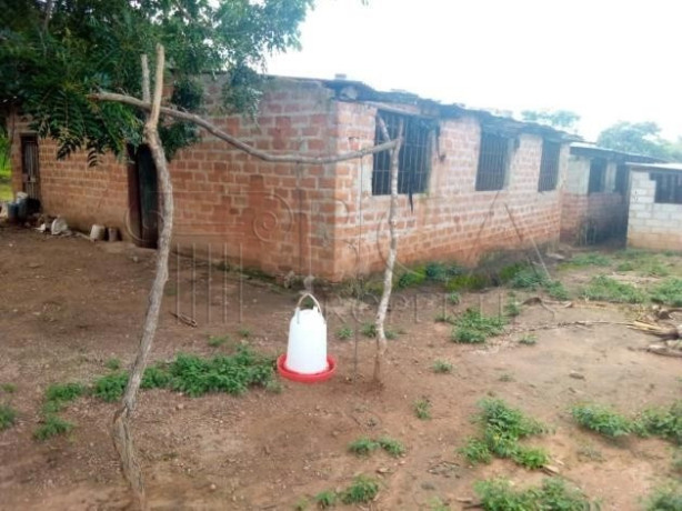 farmland-for-sale-in-palabana-chongwe-district-big-8