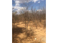 115-acre-land-for-sale-in-shimabala-small-5