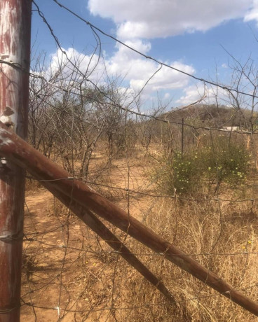 115-acre-land-for-sale-in-shimabala-big-1