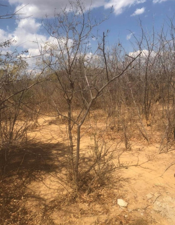 115-acre-land-for-sale-in-shimabala-big-5