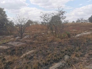 plot-for-sale-in-lusaka-west