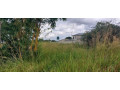 4-acre-land-for-sale-in-lusaka-west-small-0