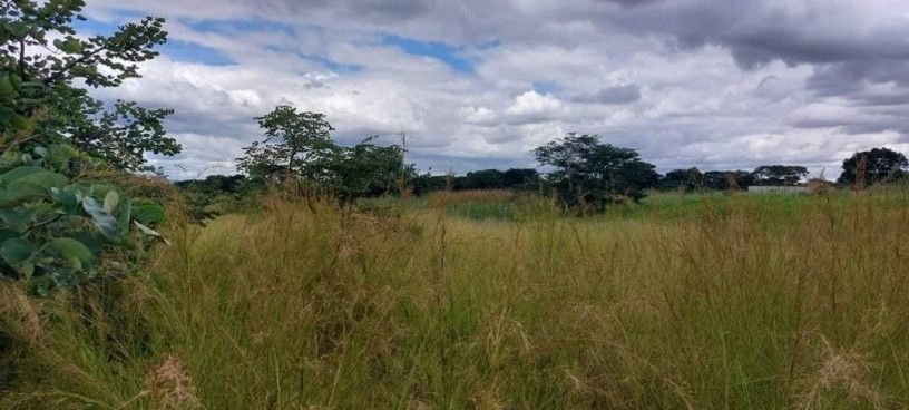 4-acre-land-for-sale-in-lusaka-west-big-5