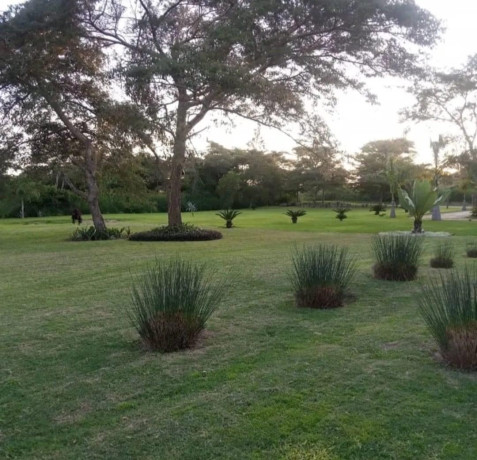 4-bedroom-house-for-sale-in-silverest-big-6