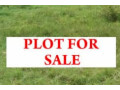 20m-by-30m-plot-for-sale-in-ibex-area-lusaka-small-0