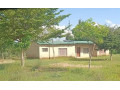 9-acre-plot-for-sale-in-mikango-barracks-small-5