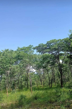 9-acre-plot-for-sale-in-mikango-barracks-big-1