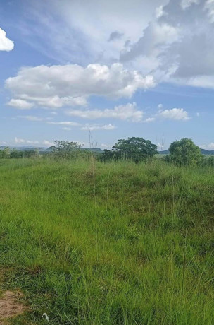 9-acre-plot-for-sale-in-mikango-barracks-big-2