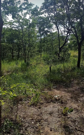 9-acre-plot-for-sale-in-mikango-barracks-big-3