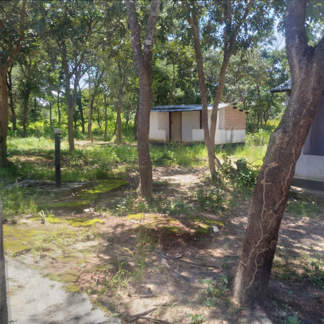 fully-developed-farm-for-sale-in-kitwe-big-4