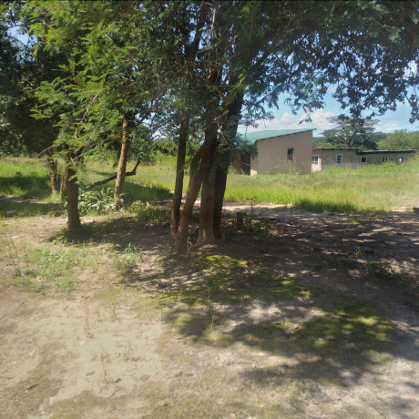 fully-developed-farm-for-sale-in-kitwe-big-1