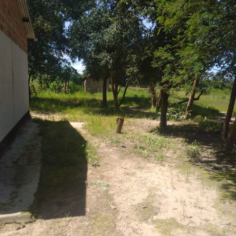 fully-developed-farm-for-sale-in-kitwe-big-7