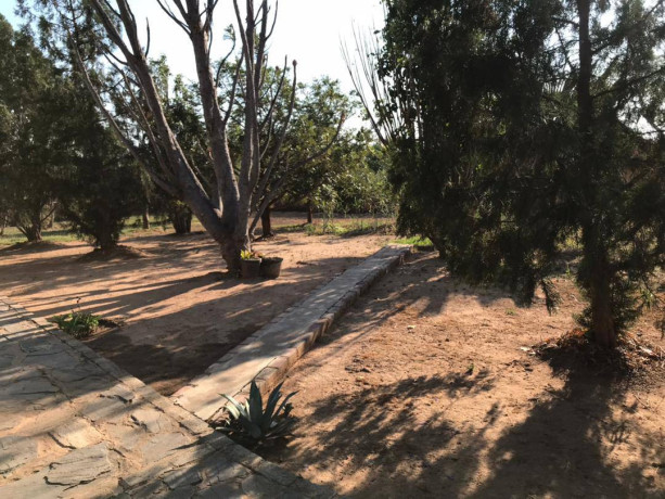 3-hectares-farm-for-rent-in-shimabala-big-3