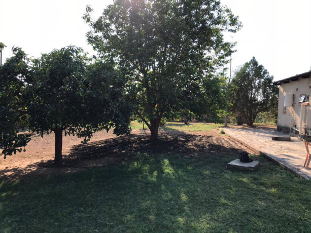 3-hectares-farm-for-rent-in-shimabala-big-7