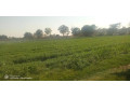 farm-for-sale-in-makeni-small-2