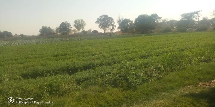 farm-for-sale-in-makeni-big-3