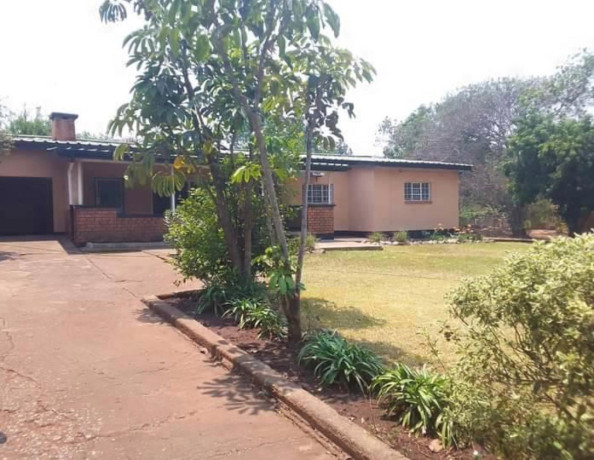 office-space-for-rent-in-ibex-hill-big-1