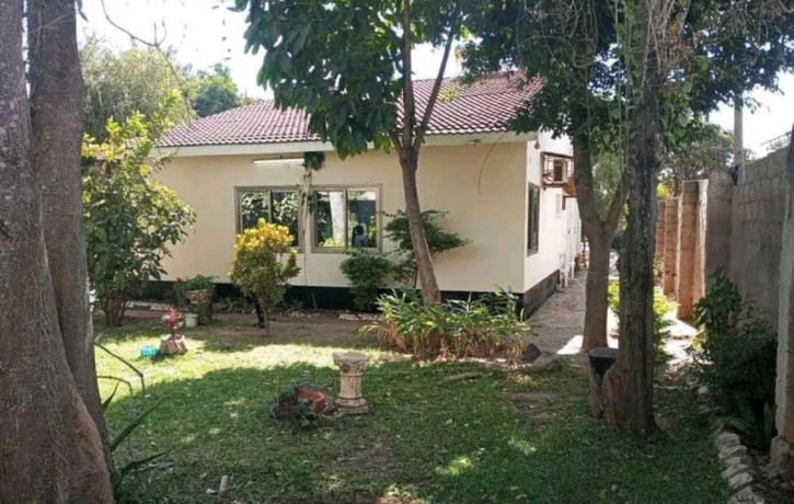 office-space-for-rent-in-ibex-hill-big-1