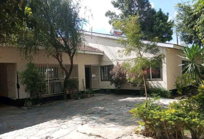 office-space-for-rent-in-ibex-hill-big-0