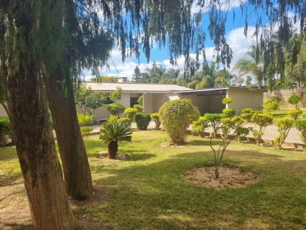 office-space-for-rent-in-jesmondine-big-0