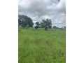 land-for-sale-in-makeni-small-0